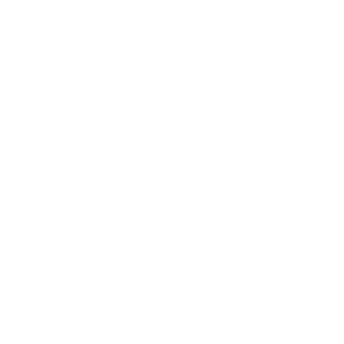 broom servicse-2